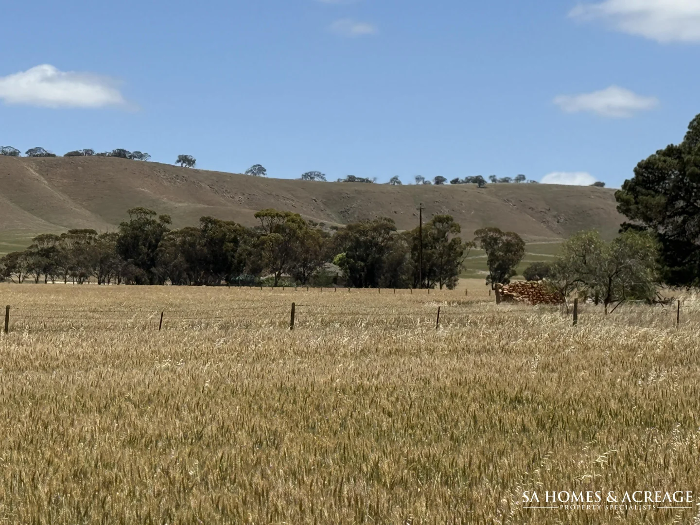 Additional image 15 of Section 407 & 408 Hills Road, Robertstown SA 5381