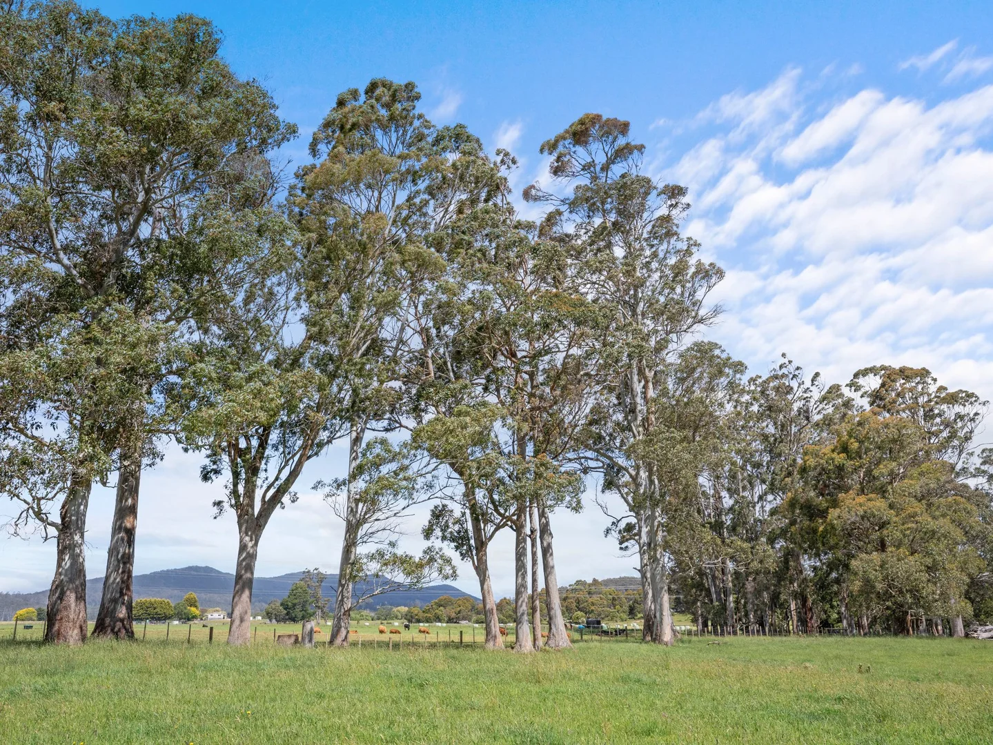 Additional image 20 of Dalwood Road, Nook TAS 7306