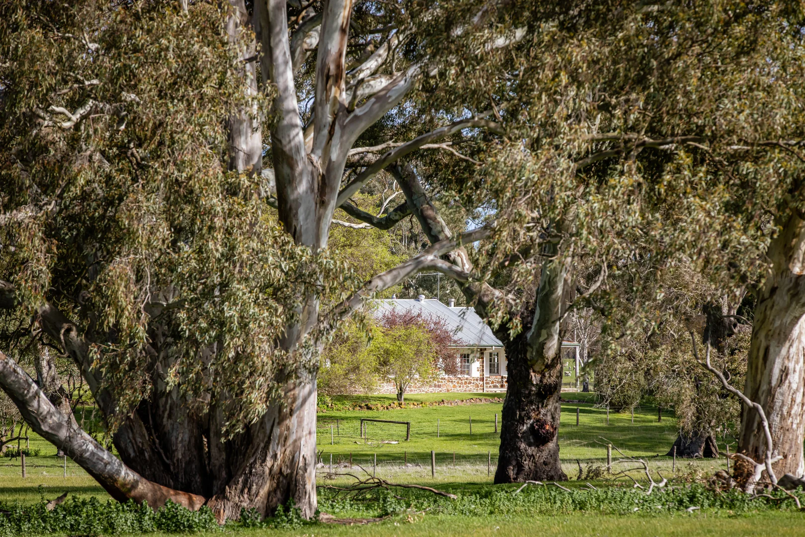 Additional image 36 of 219 Ockley Rd, Comaum SA 5277