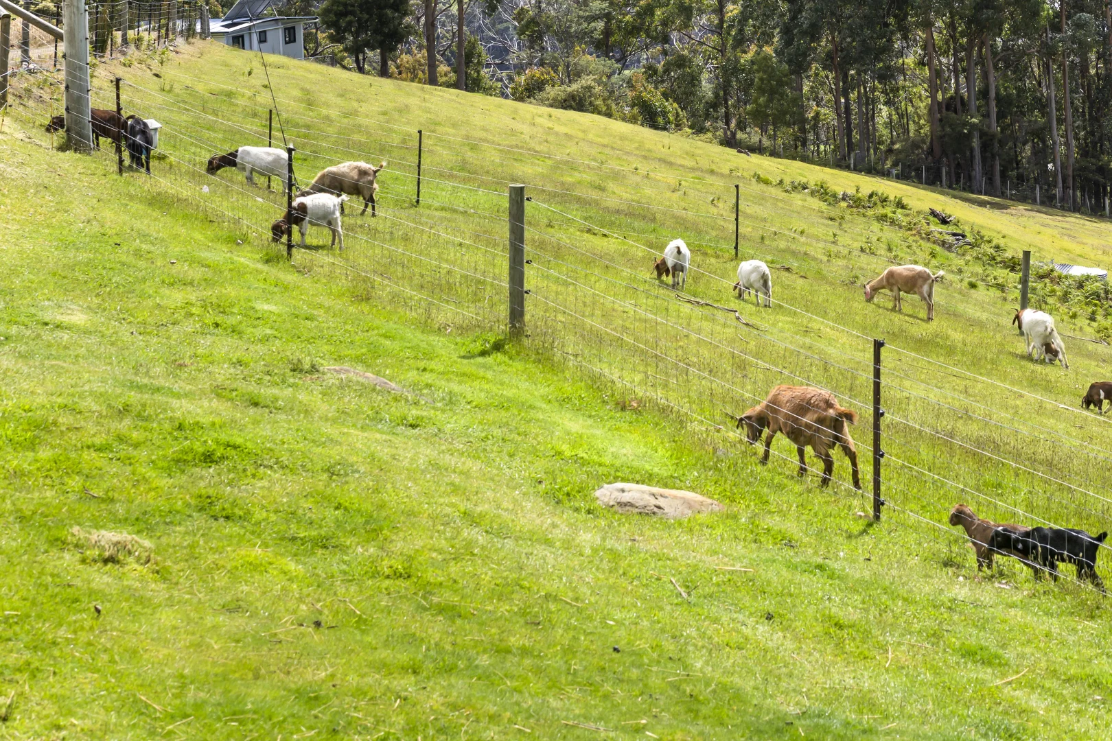 Additional image 18 of 171 Kregors Road, Gordon TAS 7150