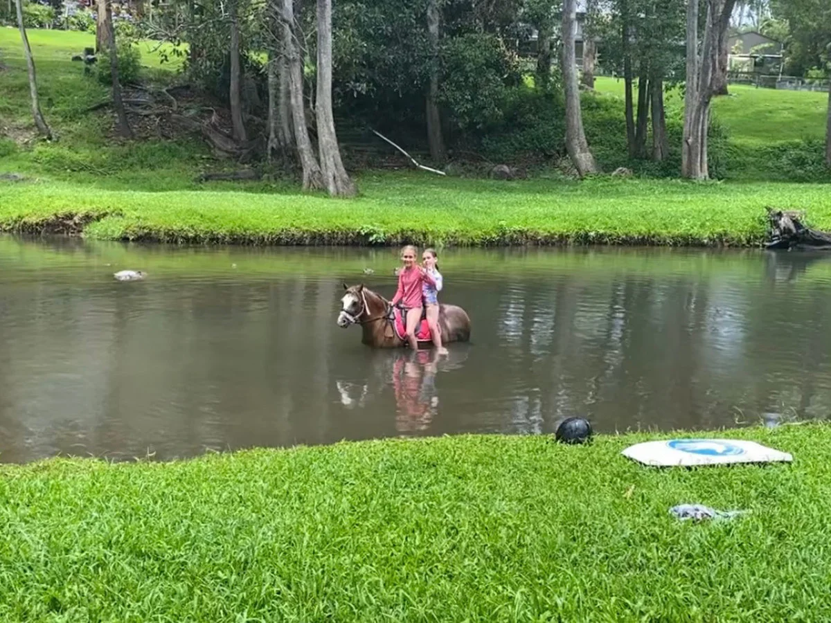 Additional image 17 of 557 Tallebudgera Creek Road, Tallebudgera Valley QLD 4228