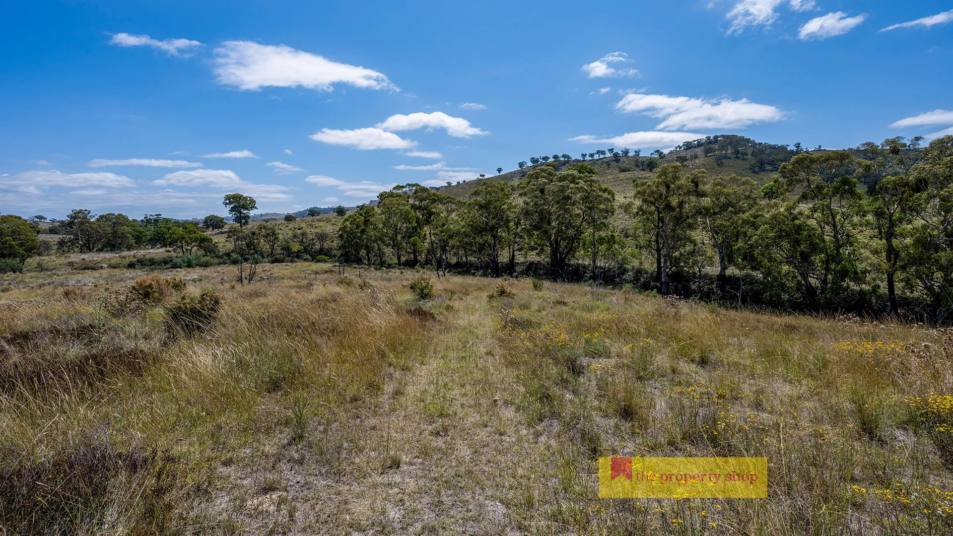 Additional image 7 of 1074 Campbells Creek Road, Mudgee NSW 2850