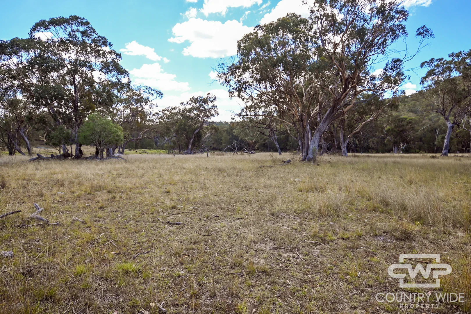 Additional image 5 of 82, 4108 Tent Hill Road, Emmaville NSW 2371