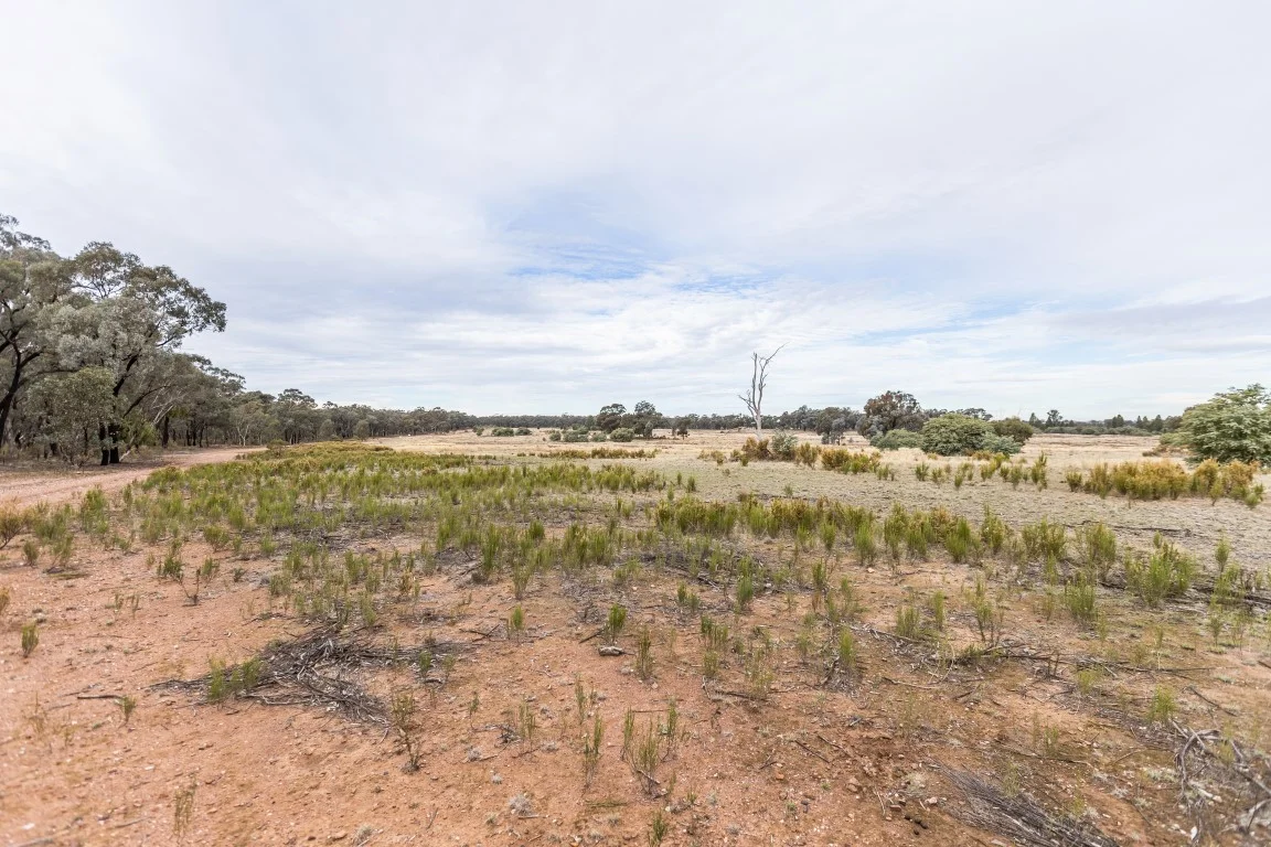 Additional image 2 of 'Keystone' 39 Williams Road, Mimosa NSW 2666