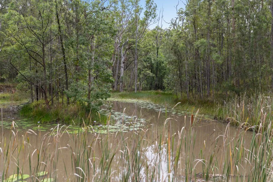 Additional image 13 of 272 Bostock Road, Pillar Valley NSW 2462