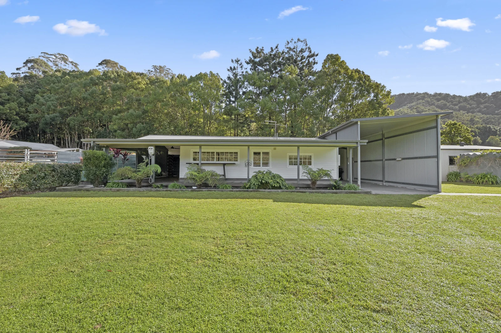 Additional image 29 of 339 Dairyville Road, Upper Orara NSW 2450