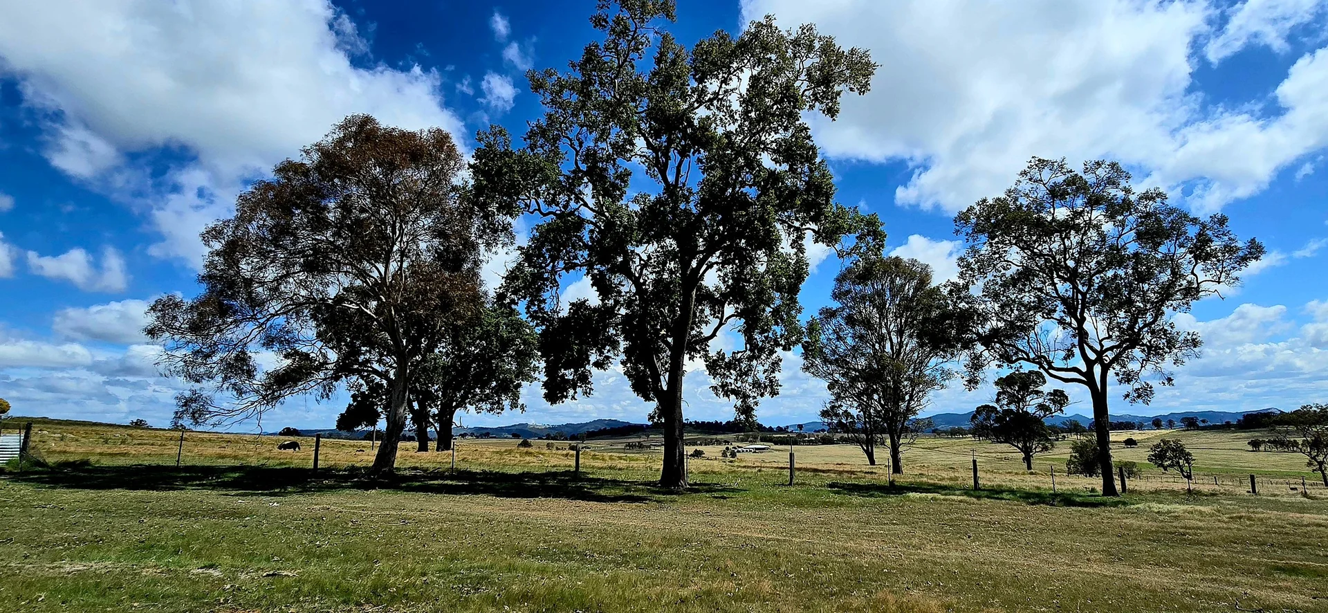 Additional image 33 of 1191 Black Swamp Road, Tenterfield NSW 2372