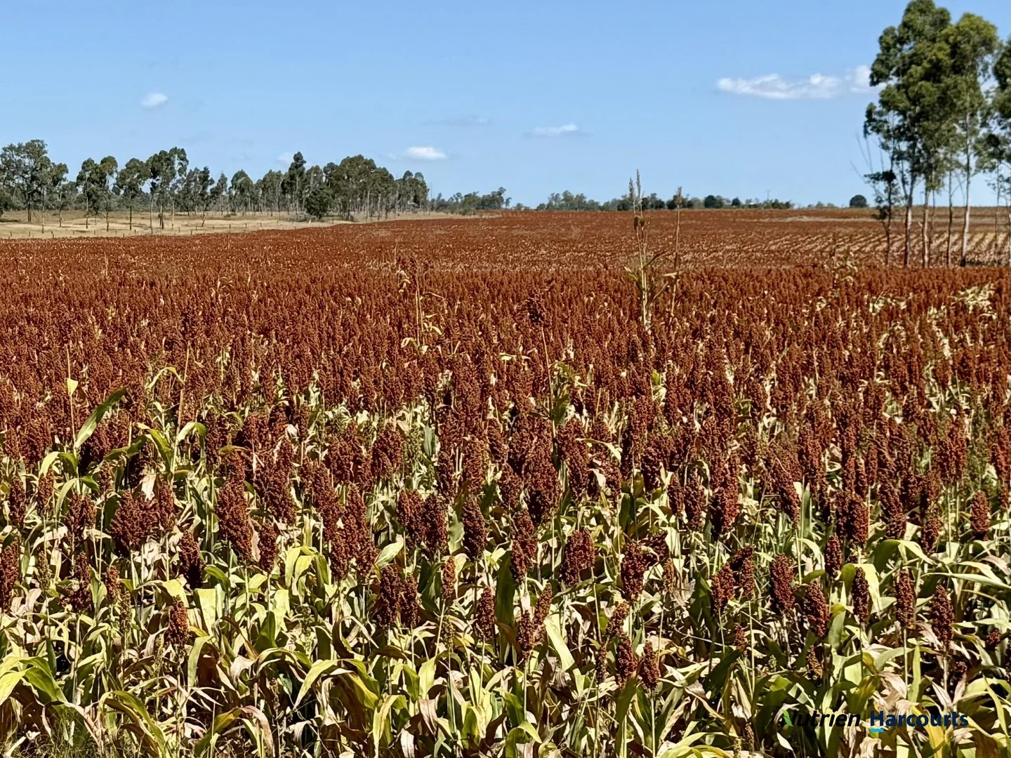Lot 2 Reedy Creek Road, Benair QLD 4610