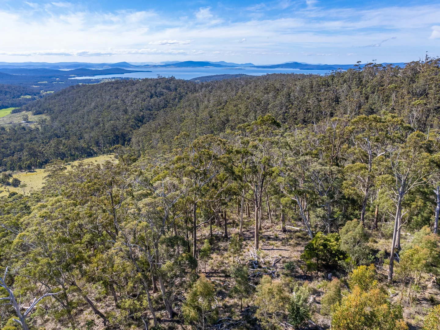 Additional image 31 of C/494 Hurdle Road, Saltwater River TAS 7186