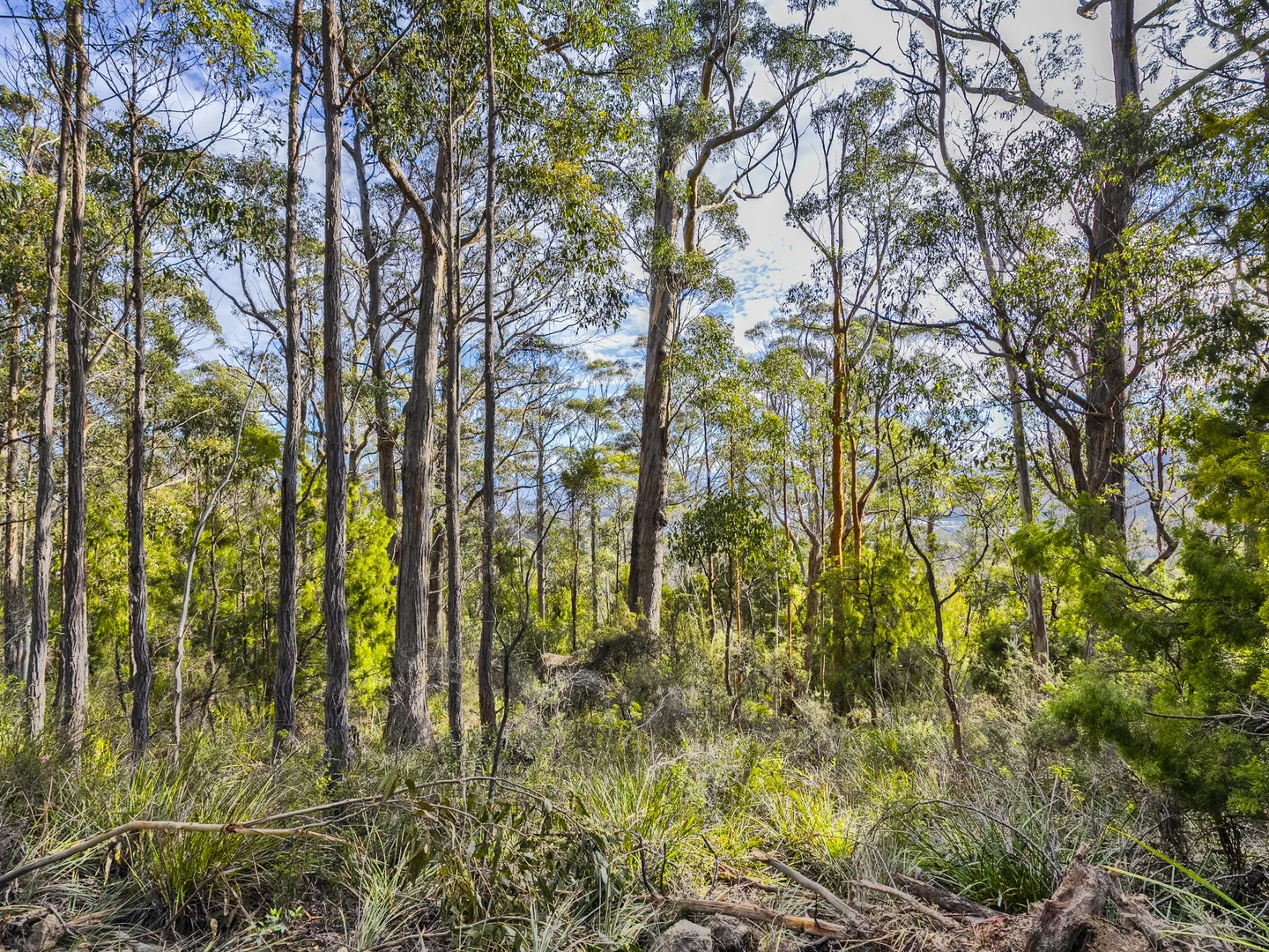 Additional image 12 of Lot 4 Tip Road, Nubeena TAS 7184