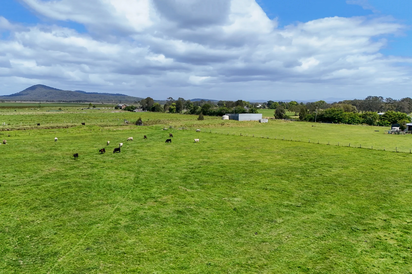 Additional image 36 of 1415 Belmore River Right Bank Road, Belmore River NSW 2440