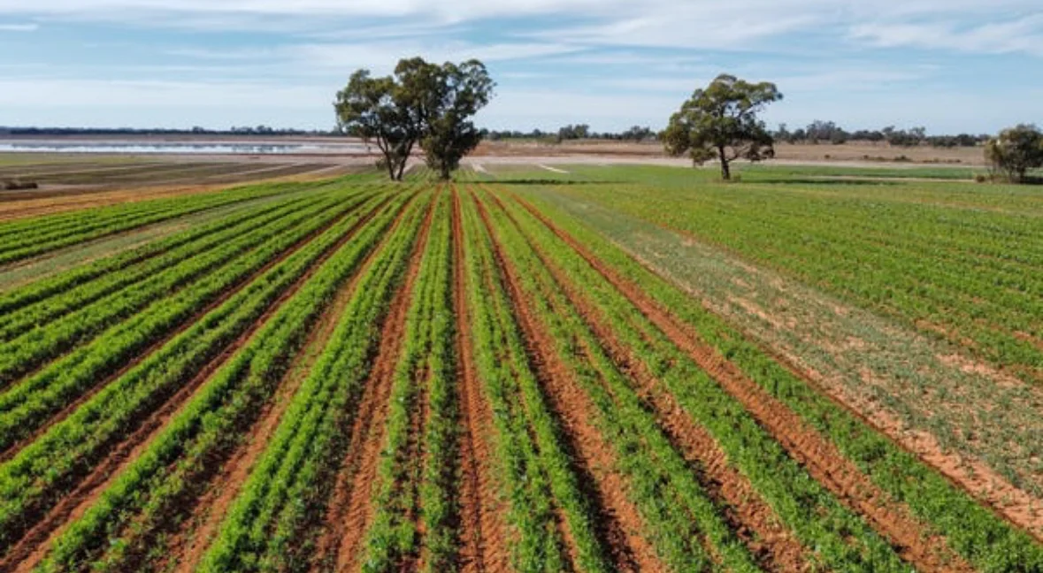 Additional image 2 of Woorinen North VIC 3589