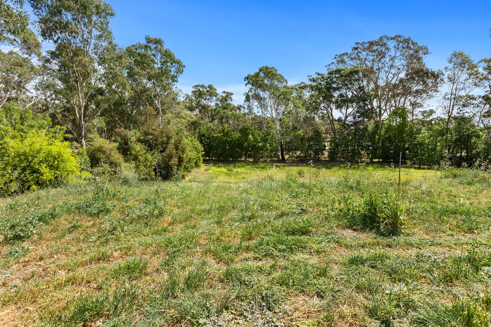 Additional image 6 of Lot 1, 6 & 7 / 2-6 McInnes Street, Big Hill VIC 3555