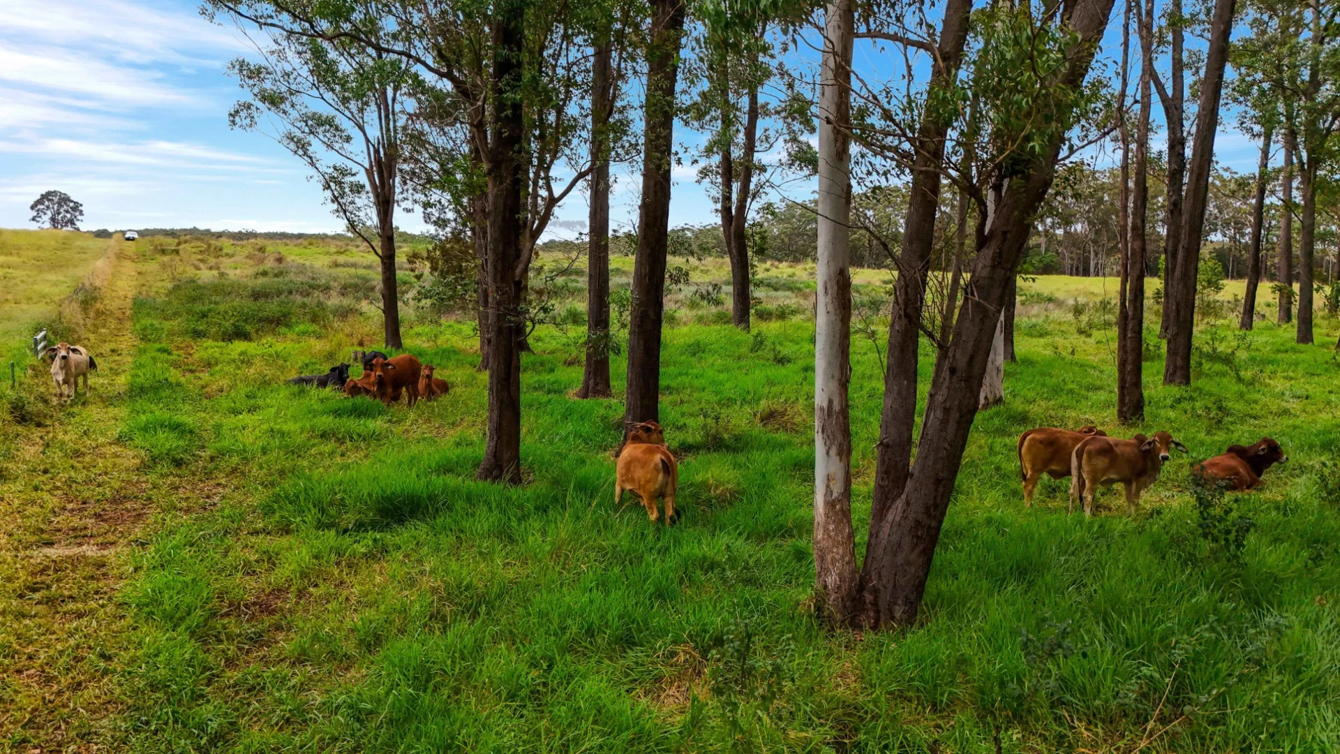 Additional image 45 of Lot 83 Chester Road, Wondecla QLD 4887