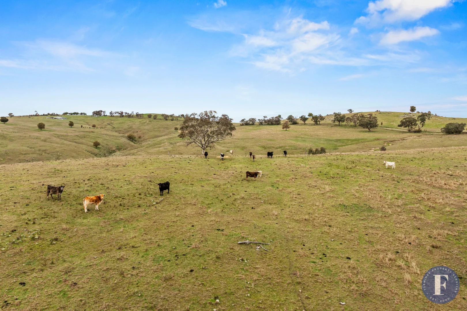 Additional image 17 of 458 Ironbark Lane, Frogmore NSW 2586