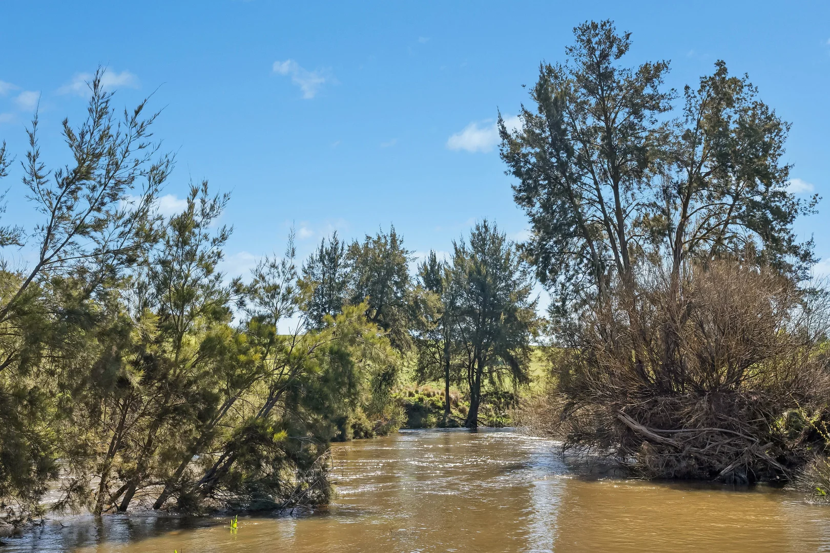 Additional image 40 of 808 White Rock Road, Bathurst NSW 2795