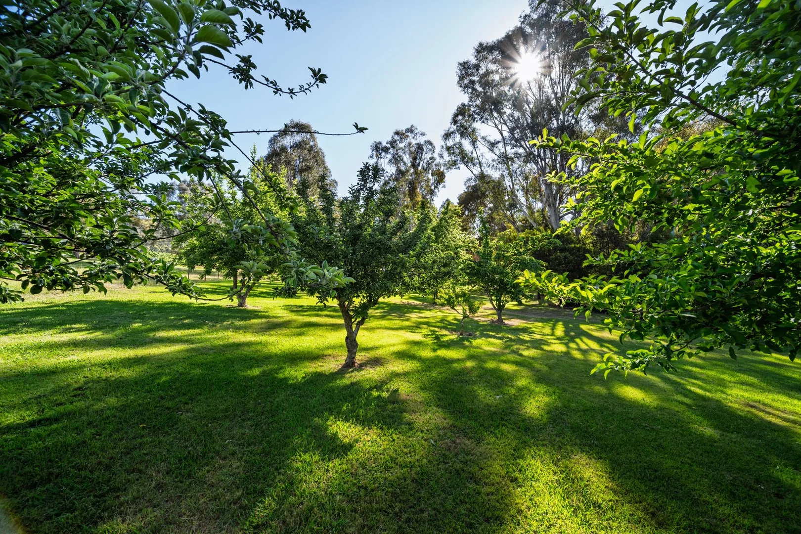 Additional image 30 of 411 Buffalo Creek Road, Myrtleford VIC 3737