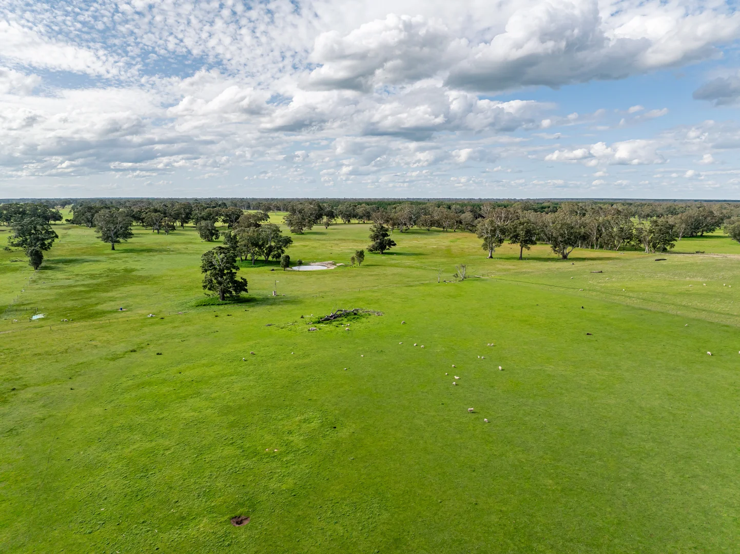 Additional image 22 of 219 Ockley Rd, Comaum SA 5277