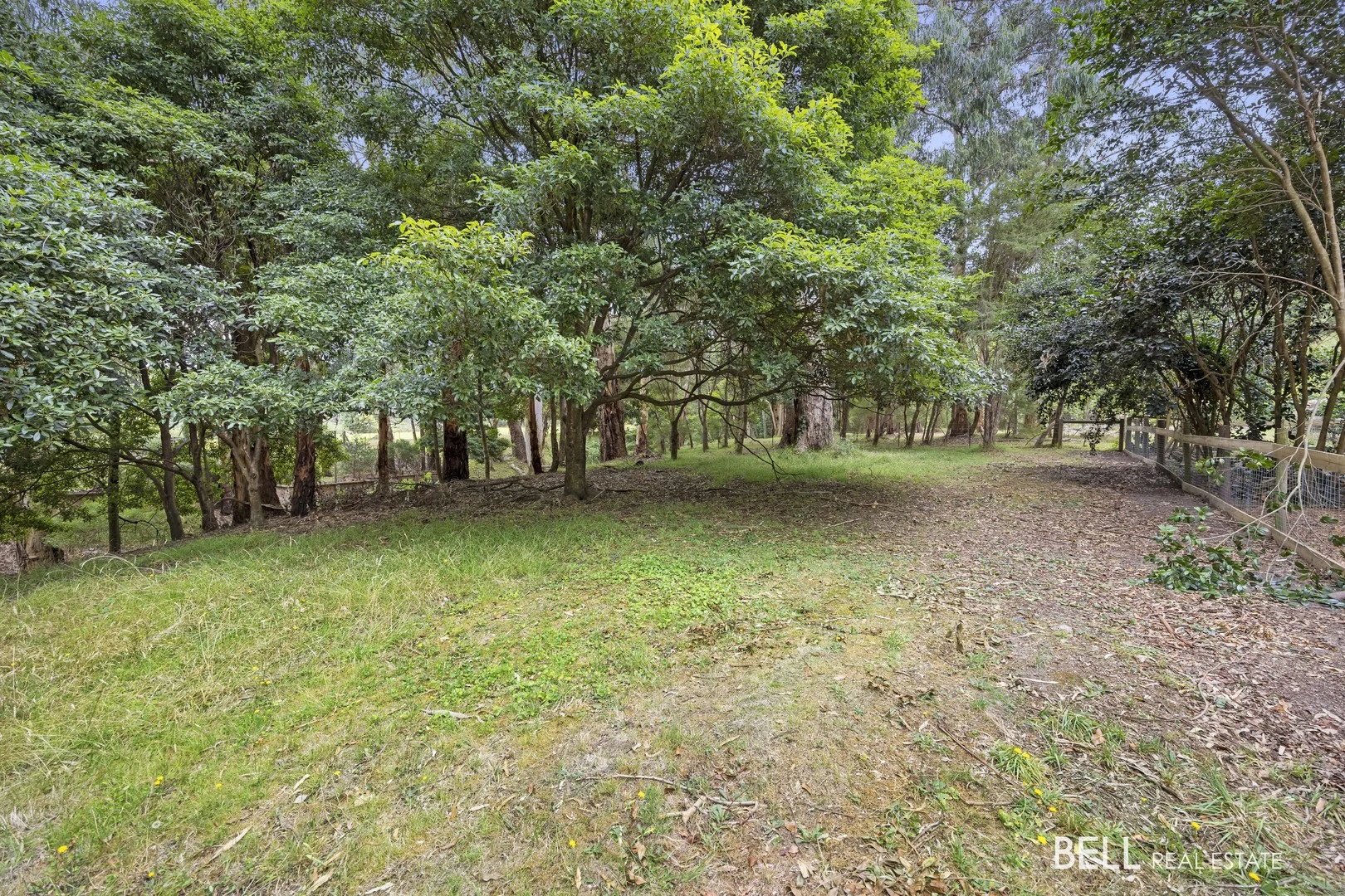 Additional image 2 of 3 River Road, Millgrove VIC 3799