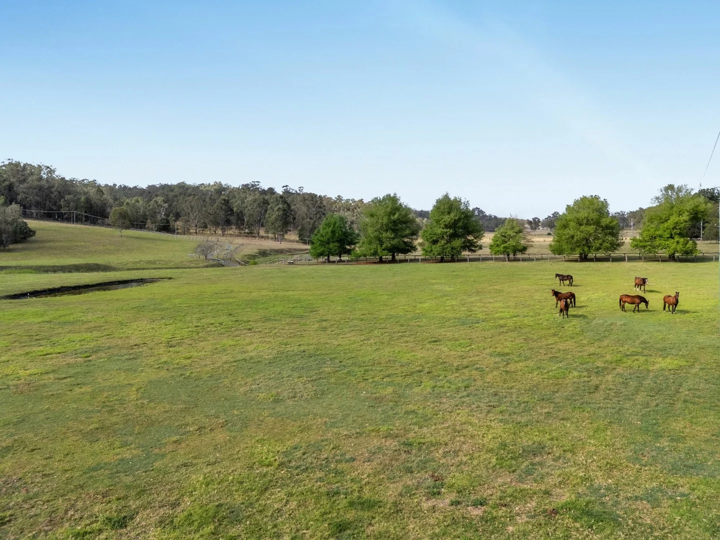 Additional image 23 of 177 Armstrong Road, Biddaddaba QLD 4275