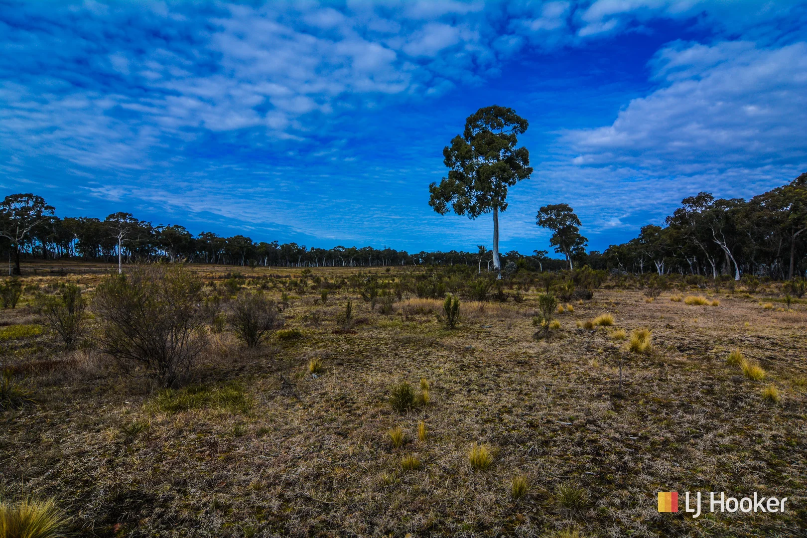 Additional image 23 of 308 Willow Vale Road, Wallerawang NSW 2845