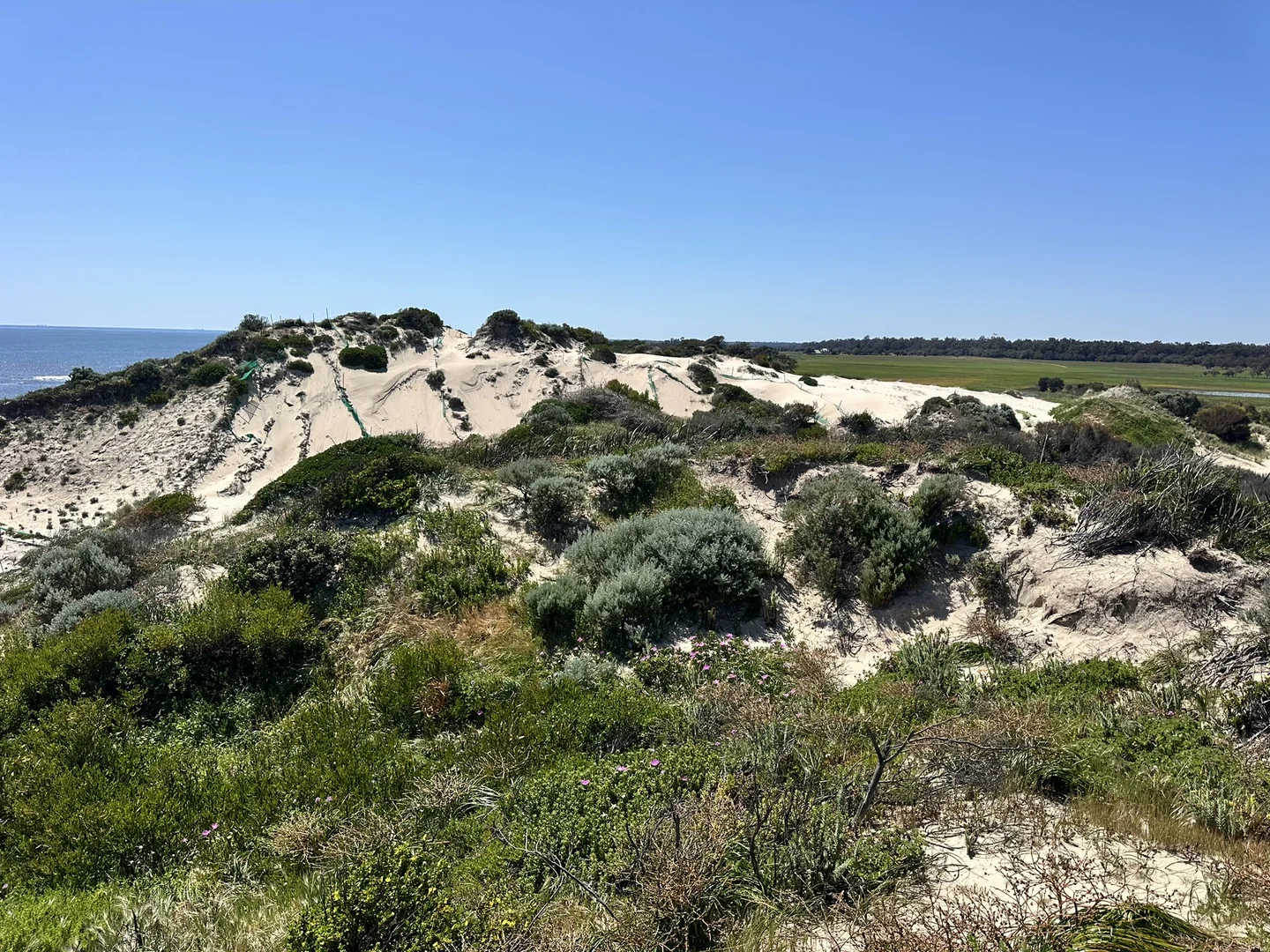 Additional image 21 of Stirling Estate WA 6271