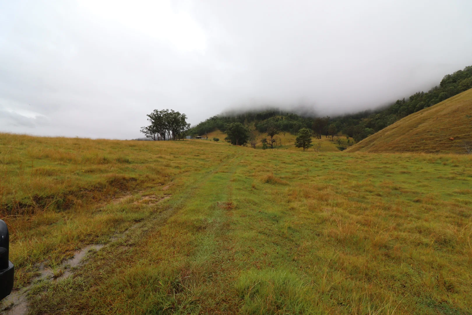 Additional image 7 of 8282 Armidale Road, Lower Creek NSW 2440