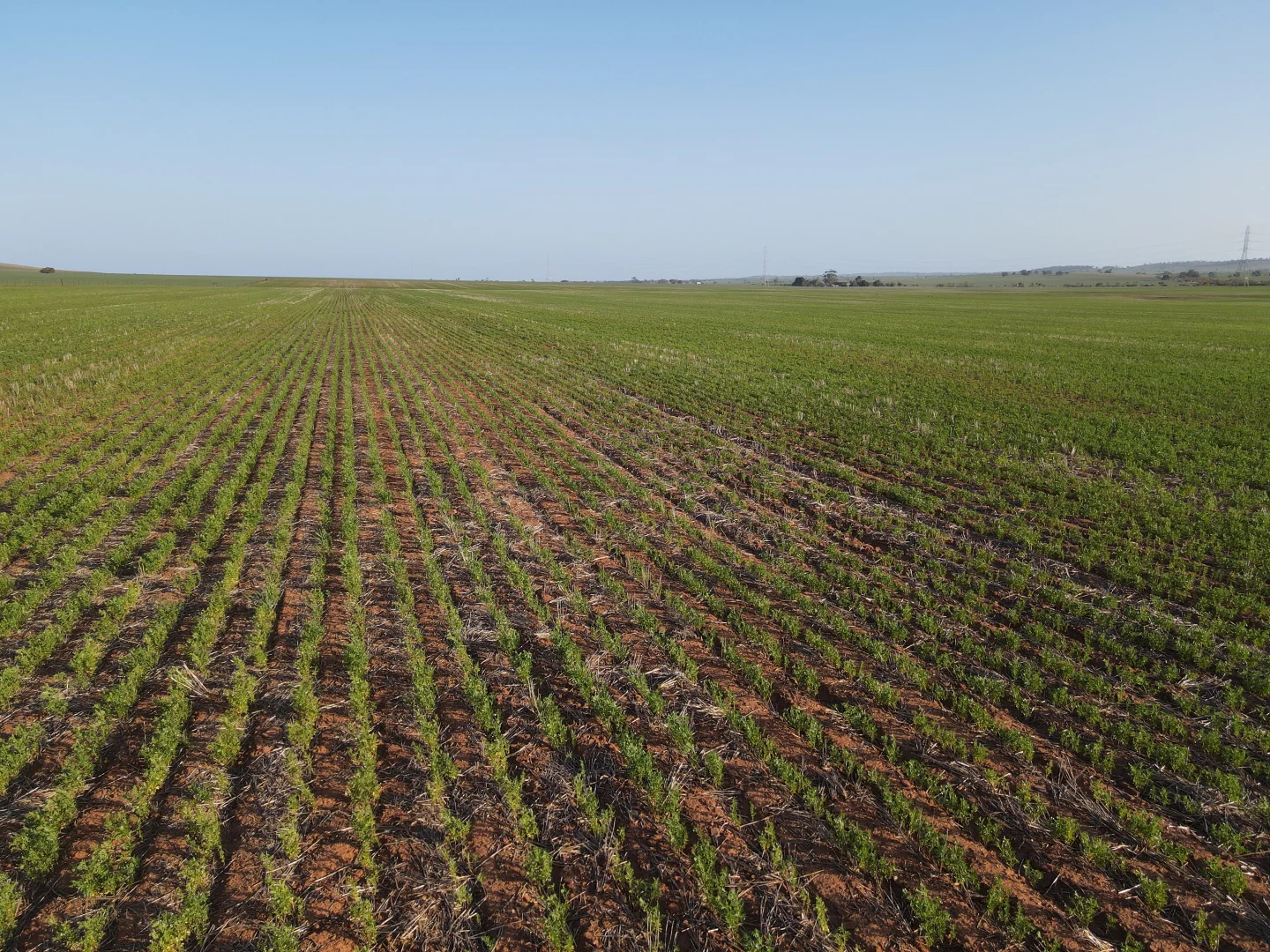 Additional image 4 of 222 Nicholls Rd, Booleroo Centre SA 5482