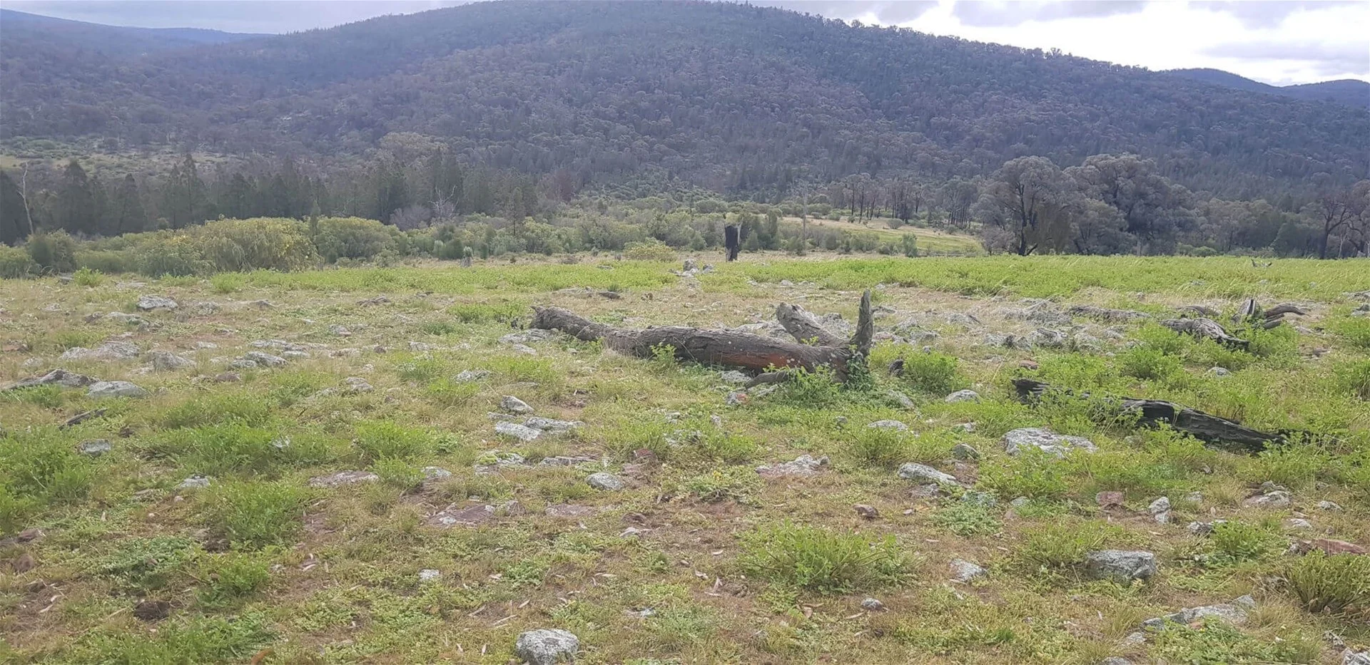 655 Monaghans Rd, Manildra NSW 2865