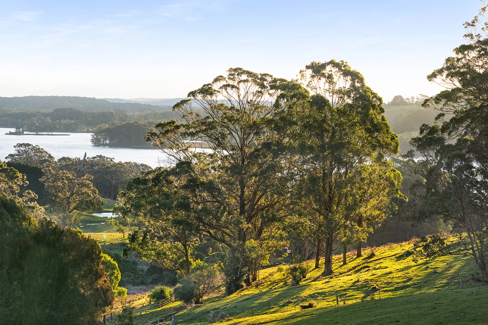 Additional image 16 of 421 Myra Vale Road, Wildes Meadow NSW 2577