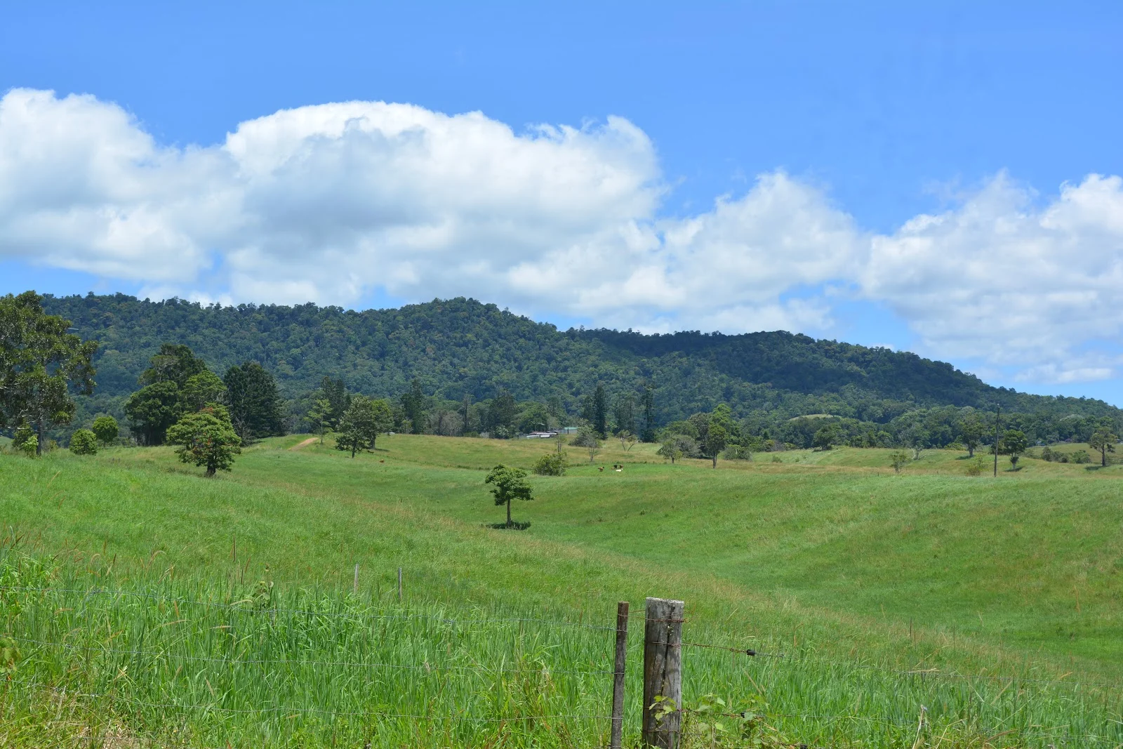 Additional image 65 of 780 MIDDLEBROOK ROAD, Millaa Millaa QLD 4886