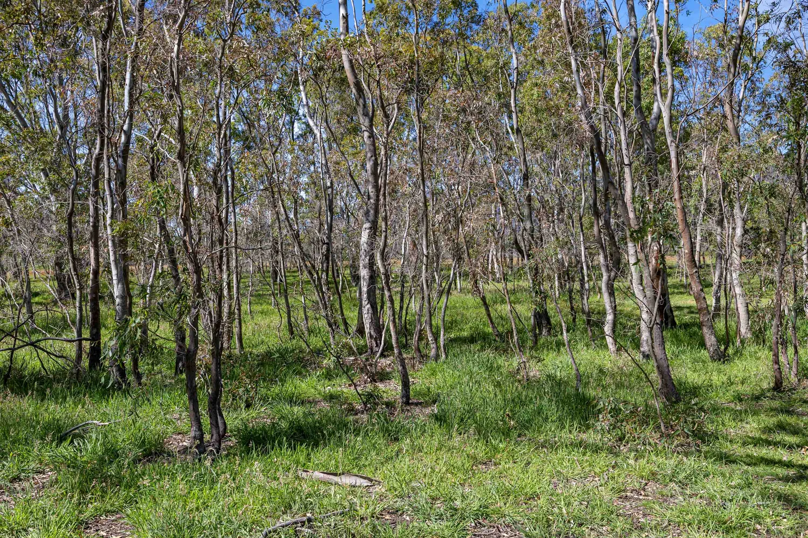Additional image 17 of Lot 2 Waterhole Road, Pomonal VIC 3381