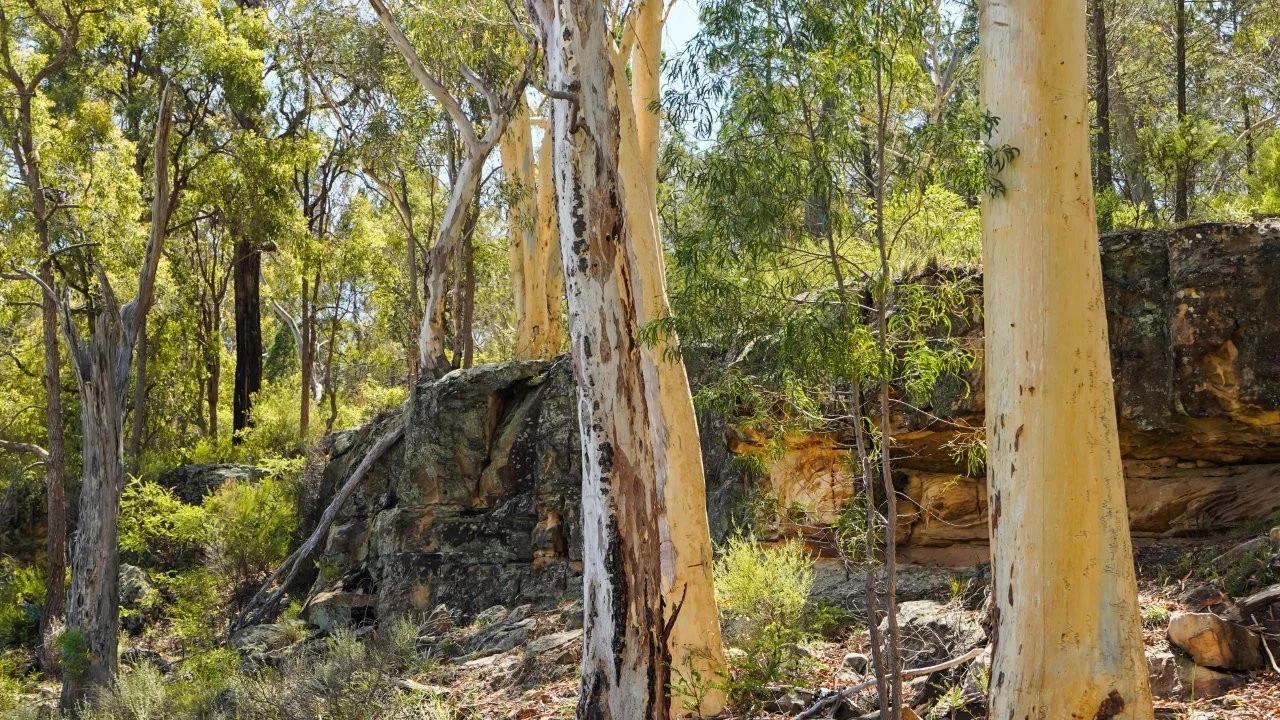 Additional image 39 of 295 Timor Road, Coonabarabran NSW 2357