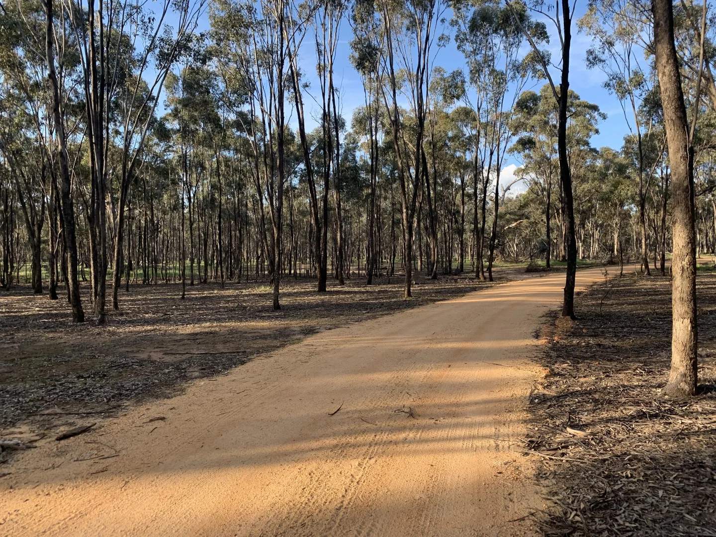 Additional image 9 of Misery Road, Beazleys Bridge VIC 3477