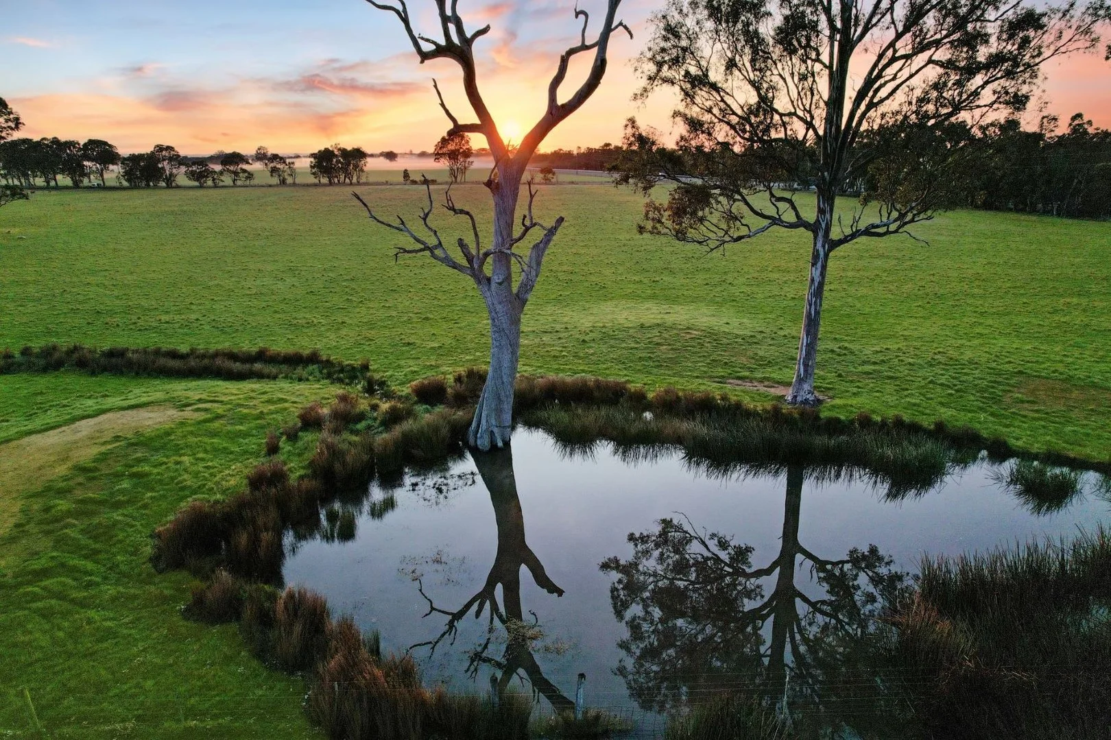 Additional image 2 of 1380 Princes Highway, Hillside VIC 3875