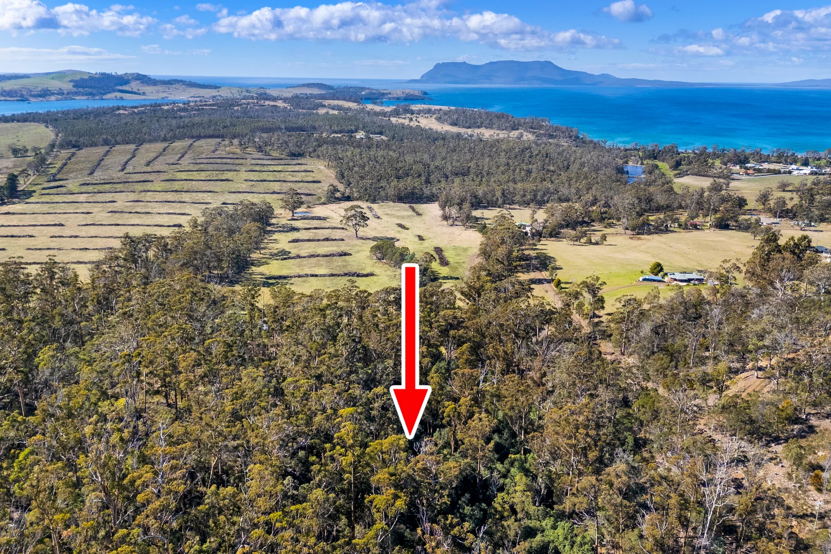 Additional image 11 of 196 Alma Road, Orford TAS 7190