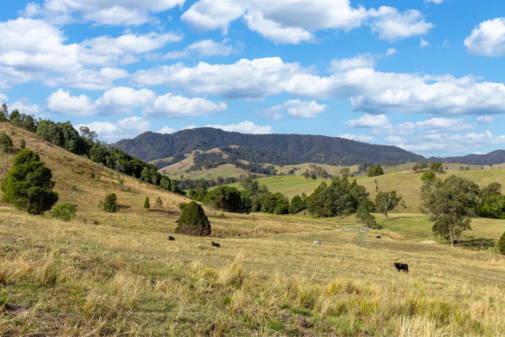 Additional image 11 of Lots/34 & 158 Salisbury Road, Dungog NSW 2420