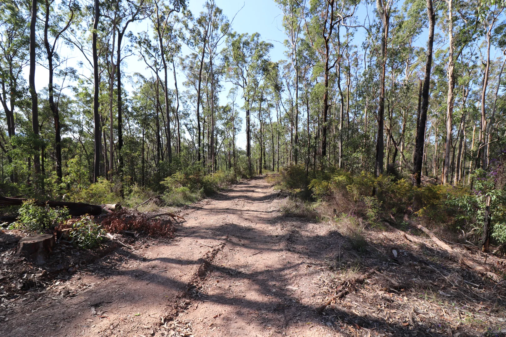 Additional image 7 of Lot 41 Collombatti Road, Collombatti NSW 2440
