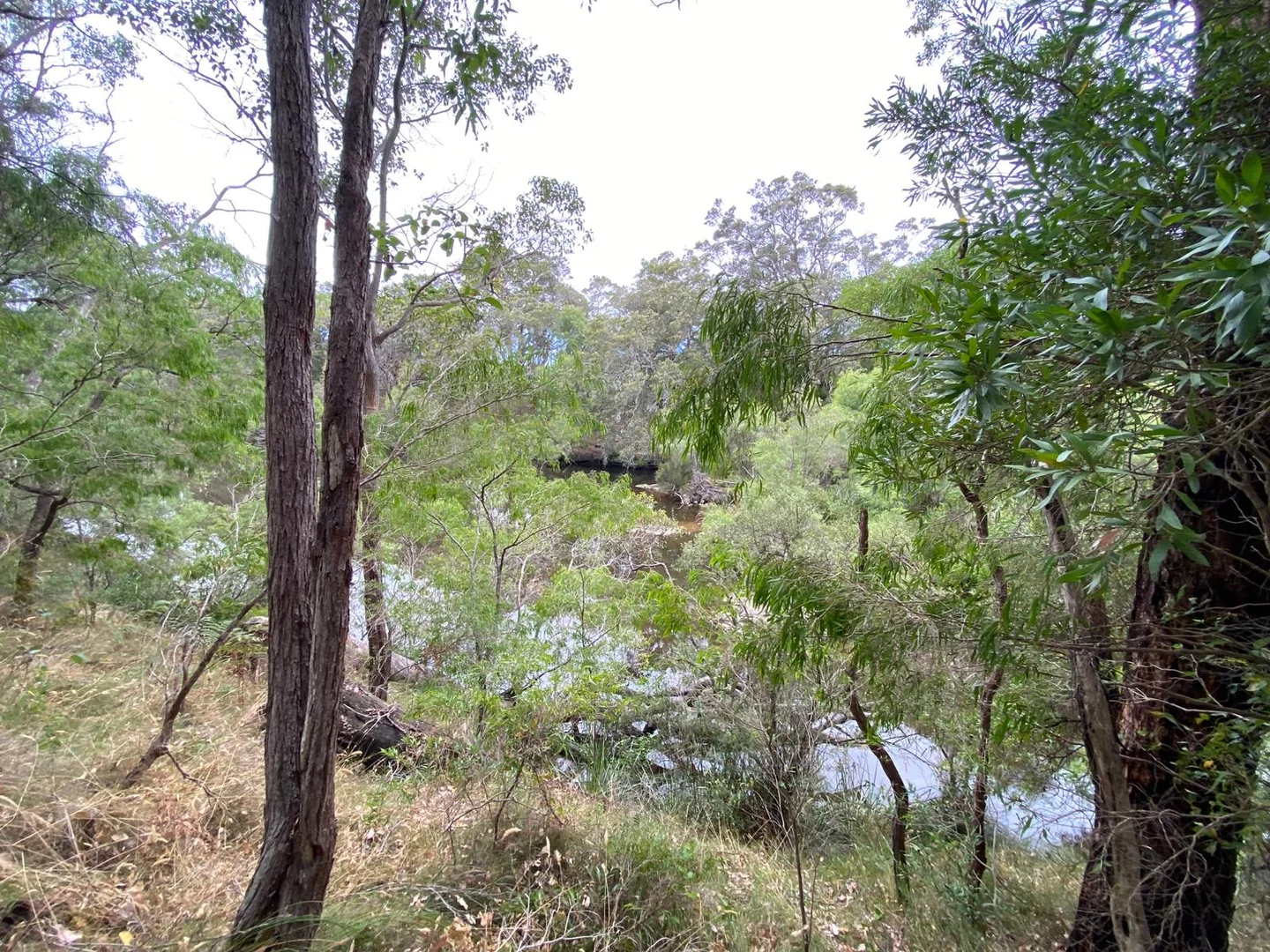 Additional image 3 of 45647 South Coast Highway, Kalgan WA 6330
