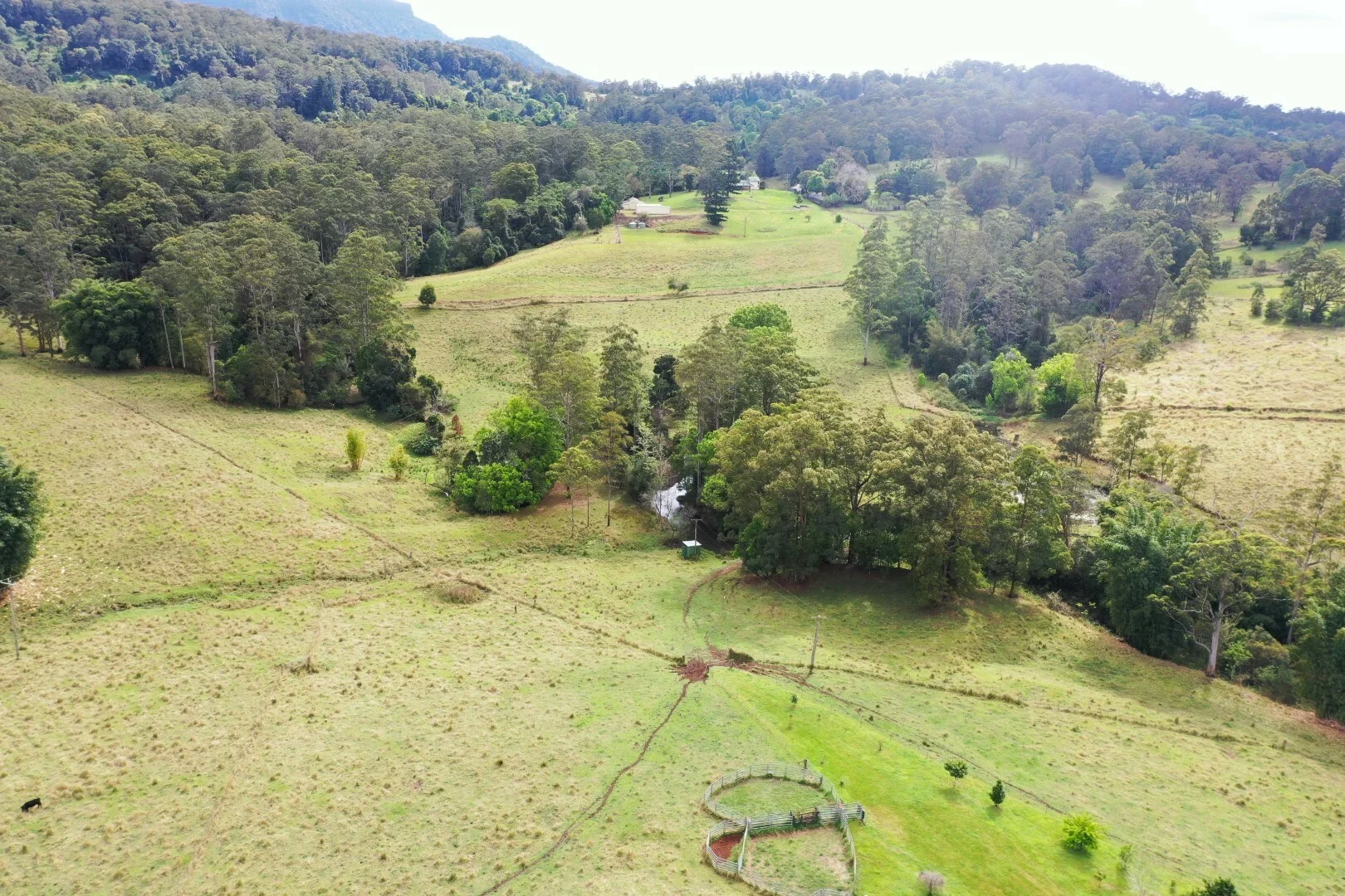 Additional image 27 of 66 Old Tweed Road, Wadeville NSW 2474