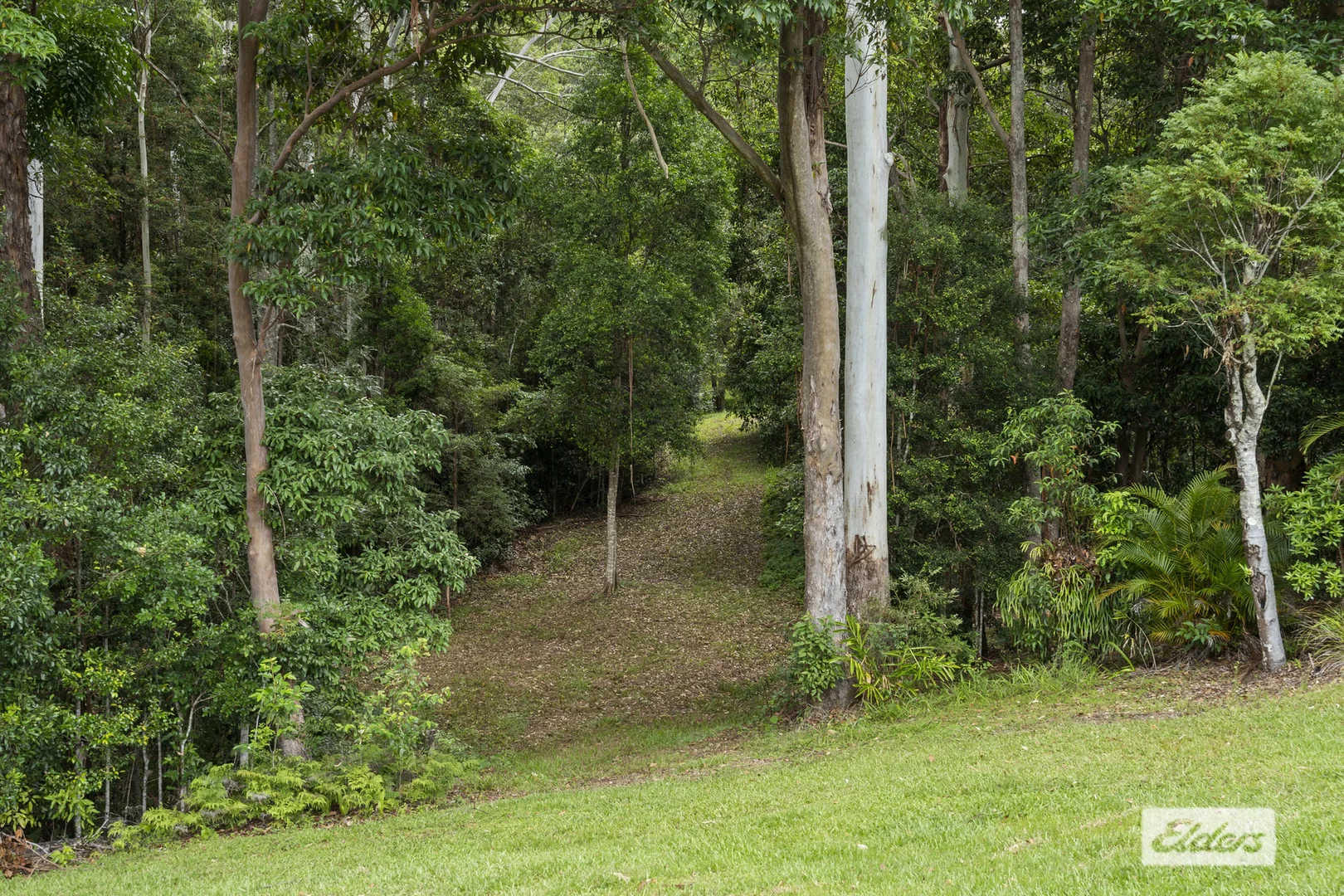 Additional image 21 of 354 Kunghur Creek Road, Kunghur Creek NSW 2484