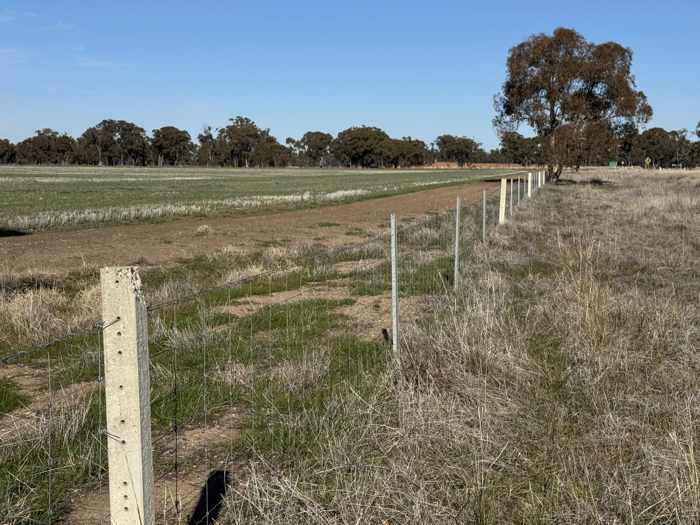 Additional image 28 of Berrigan Oaklands Road, Berrigan NSW 2712