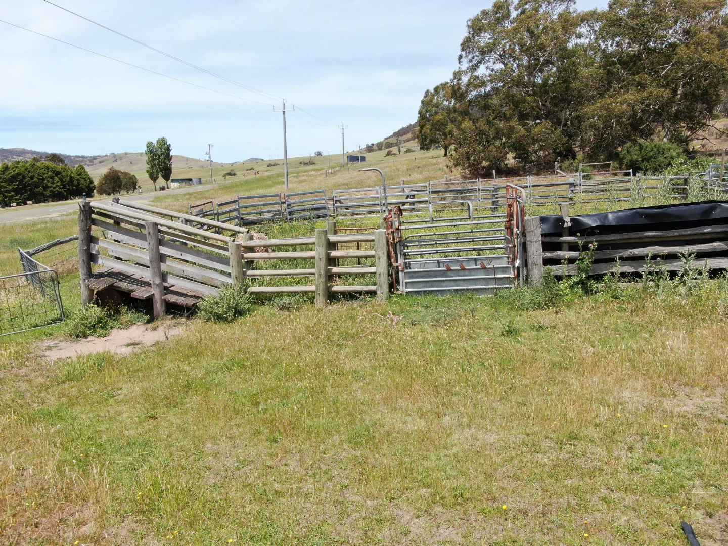 Additional image 5 of 333 Omeo Valley Road, Omeo VIC 3898