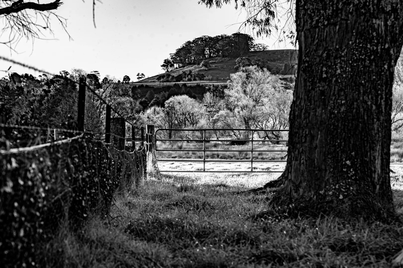 Additional image 58 of 50 Blencowes Lane, Wildes Meadow NSW 2577