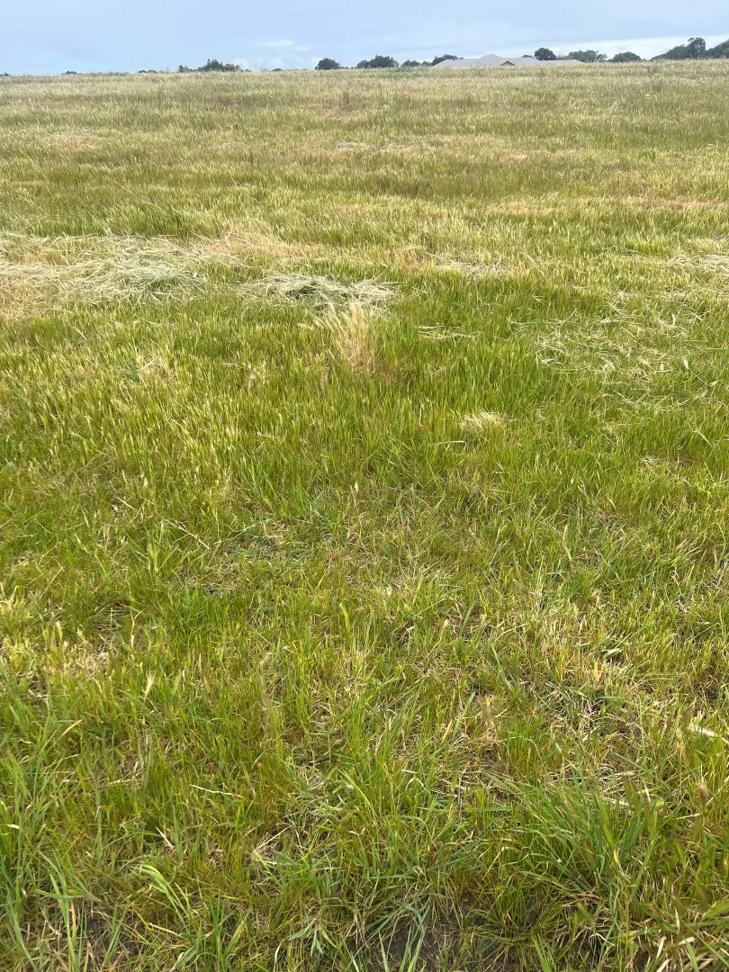 Additional image 6 of Lot 2 Ringwood Drive, Beachport SA 5280