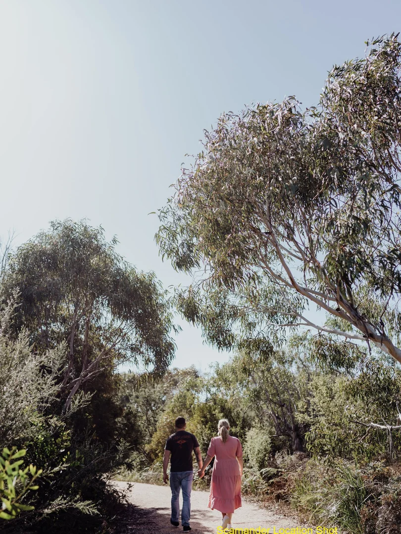 Additional image 7 of 24 Winifred Drive, Scamander TAS 7215