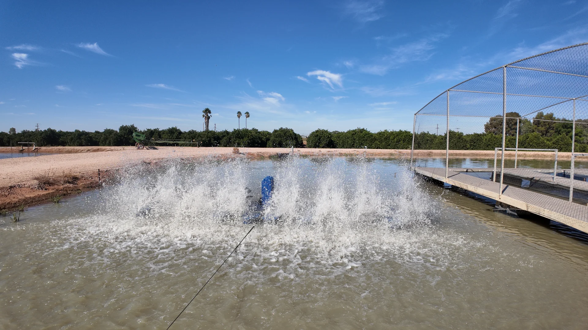 Additional image 16 of 187 Morley Road, Yoogali NSW 2680