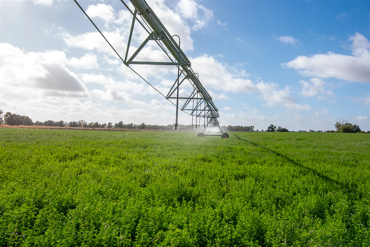 Additional image 7 of 1061 McEwen Road, Kyabram VIC 3620