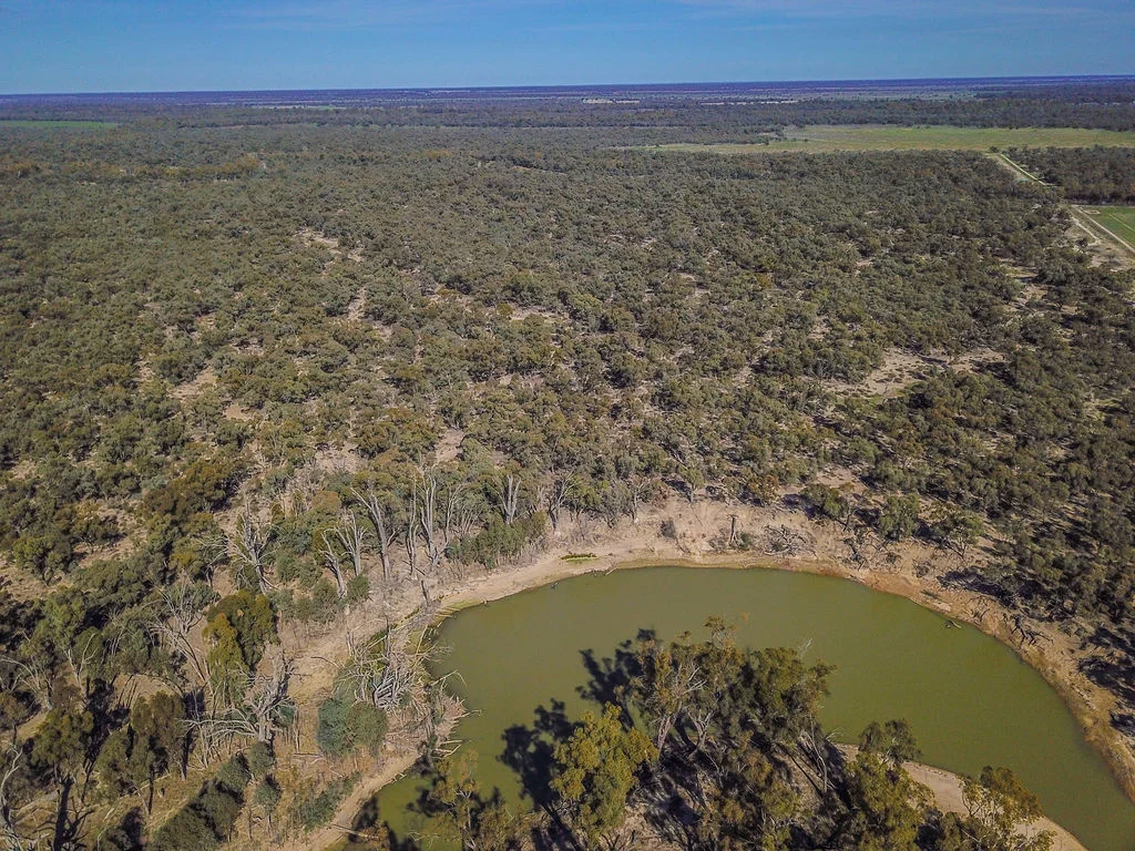 Additional image 31 of 'Wetuppa' 245 Fisher Lane, Wetuppa NSW 2734