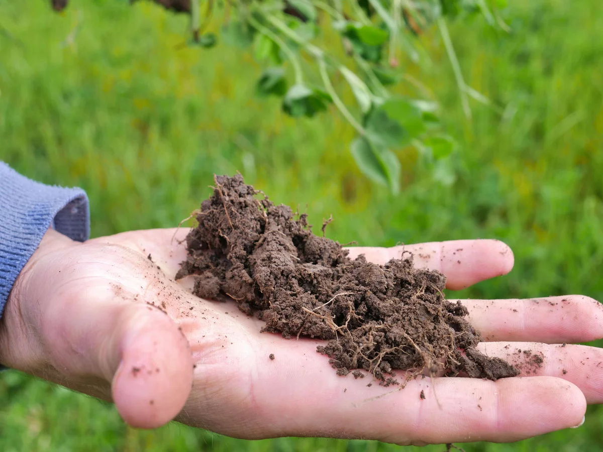 Additional image 4 of 40 Davies Road, Parkham TAS 7304